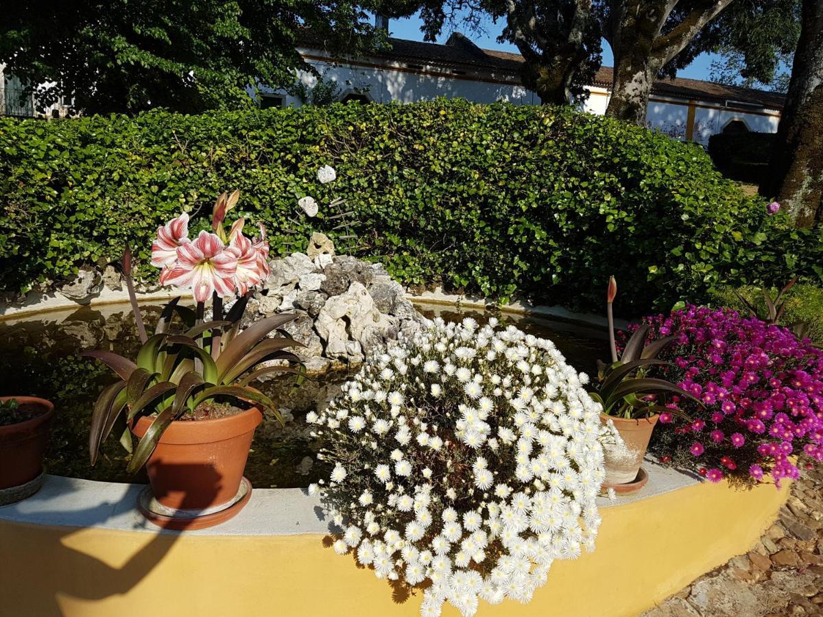 Quinta da Bizelga Cottages Tomar Esterno foto
